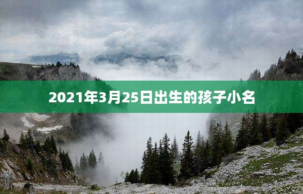 2021年3月25日出生的孩子小名