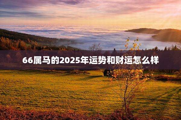 66属马的2025年运势和财运怎么样
