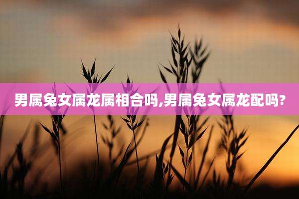 男属兔女属龙属相合吗,男属兔女属龙配吗?