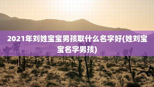 2021年刘姓宝宝男孩取什么名字好(姓刘宝宝名字男孩)
