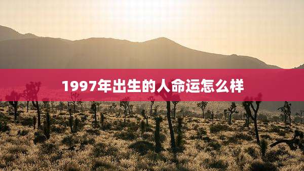 1997年出生的人命运怎么样