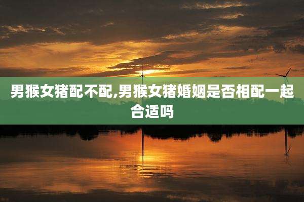 男猴女猪配不配,男猴女猪婚姻是否相配一起合适吗