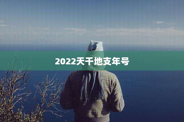 2022天干地支年号