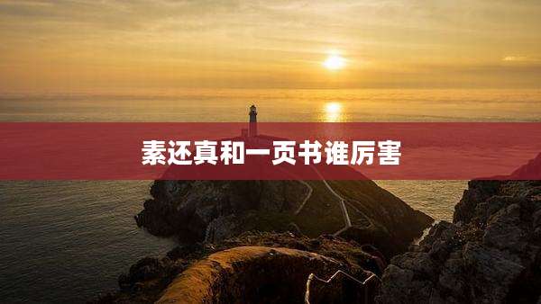 素还真和一页书谁厉害
