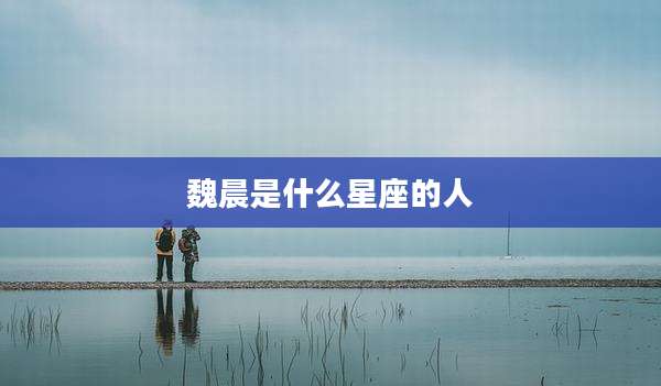 魏晨是什么星座的人