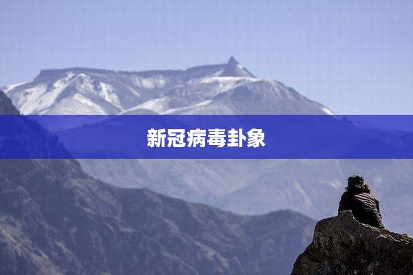 新冠病毒卦象