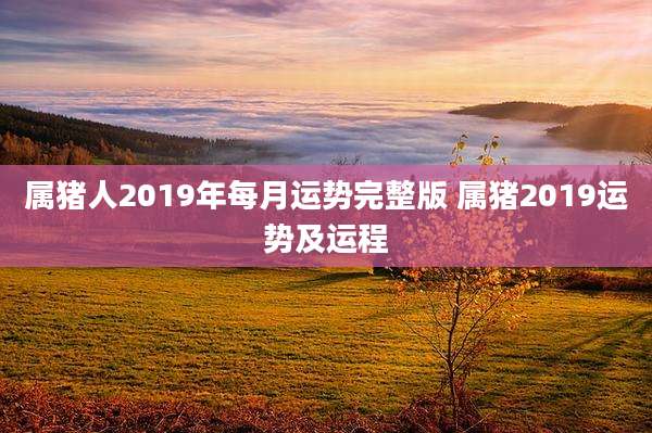 属猪人2019年每月运势完整版 属猪2019运势及运程