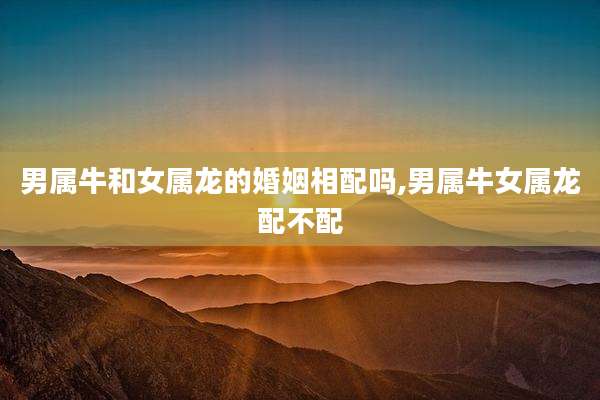 男属牛和女属龙的婚姻相配吗,男属牛女属龙配不配