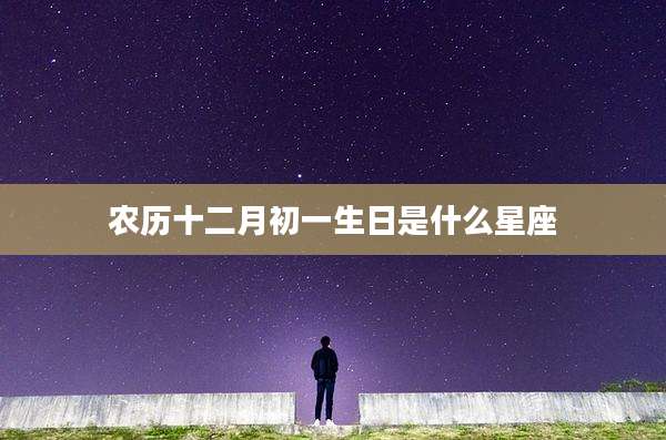 农历十二月初一生日是什么星座
