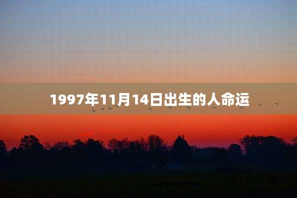 1997年11月14日出生的人命运