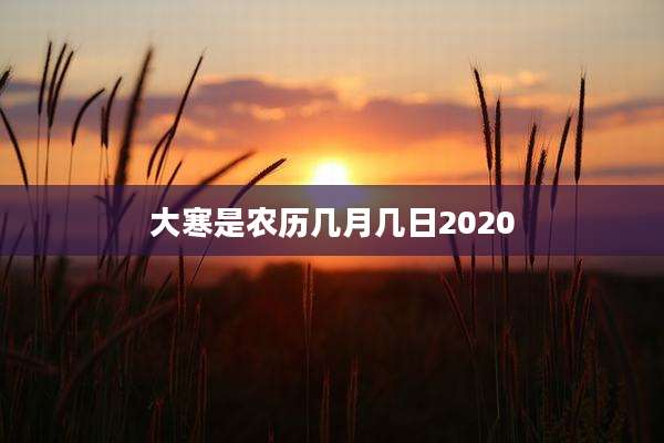 大寒是农历几月几日2020