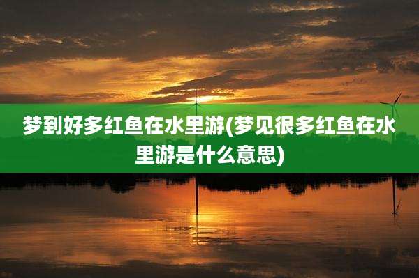 梦到好多红鱼在水里游(梦见很多红鱼在水里游是什么意思)