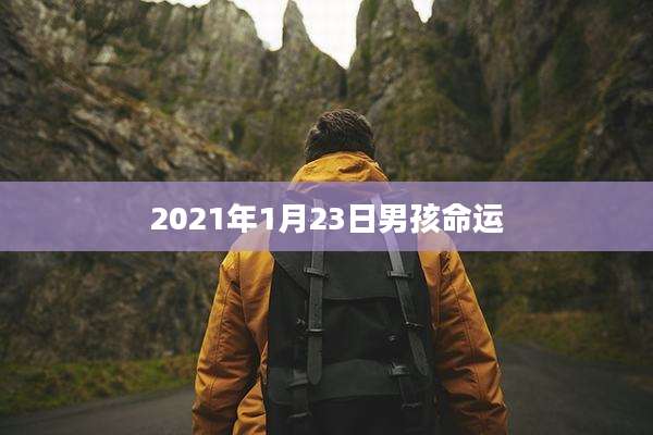 2021年1月23日男孩命运