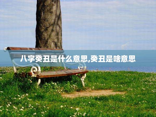 八字癸丑是什么意思,癸丑是啥意思