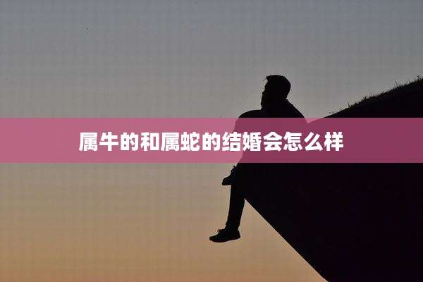 属牛的和属蛇的结婚会怎么样