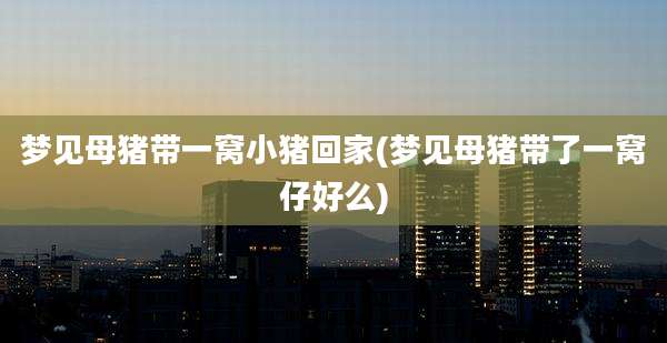 梦见母猪带一窝小猪回家(梦见母猪带了一窝仔好么)