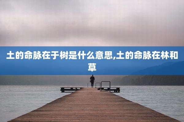土的命脉在于树是什么意思,土的命脉在林和草