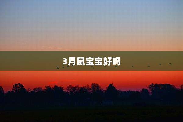 3月鼠宝宝好吗