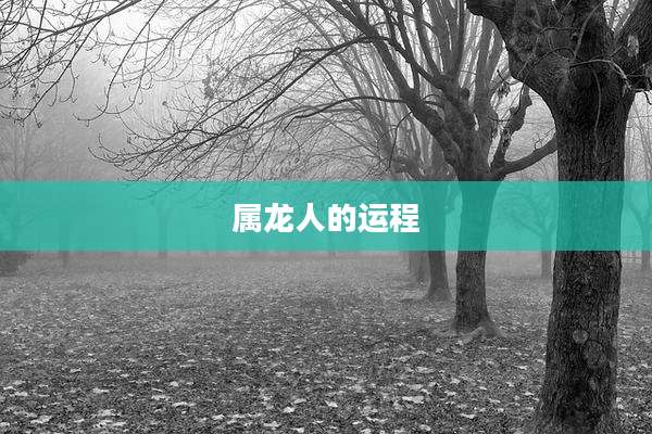 属龙人的运程