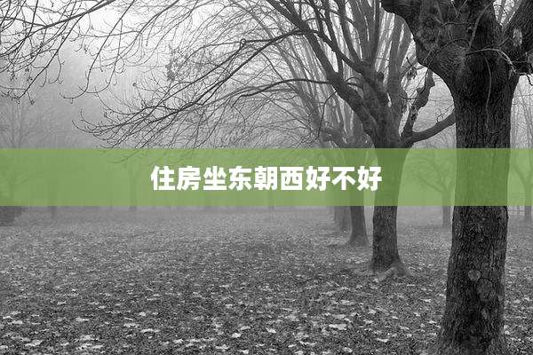 住房坐东朝西好不好