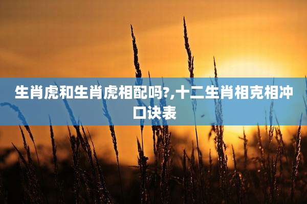 生肖虎和生肖虎相配吗?,十二生肖相克相冲口诀表