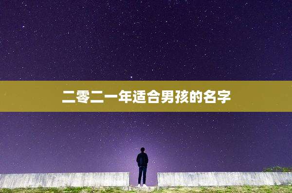 二零二一年适合男孩的名字
