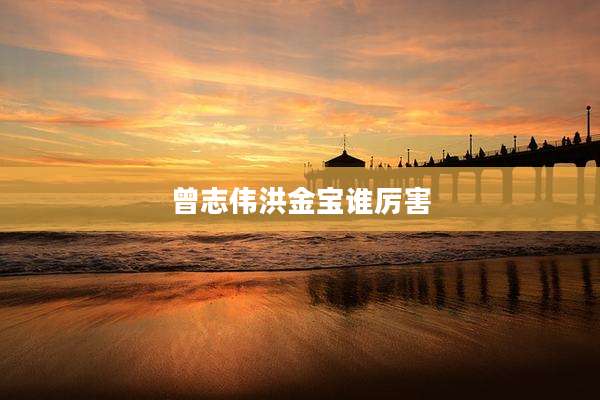 曾志伟洪金宝谁厉害
