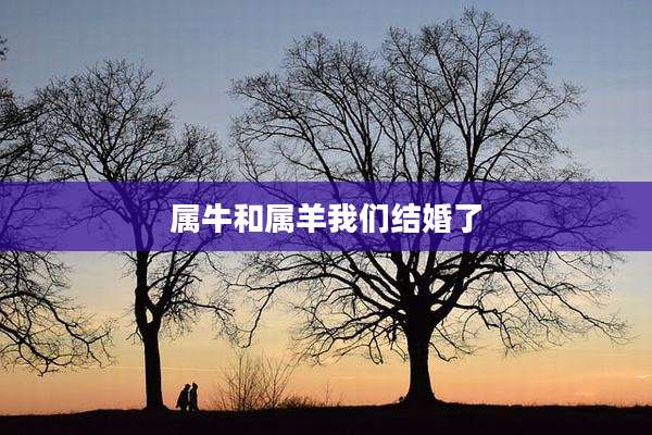 属牛和属羊我们结婚了