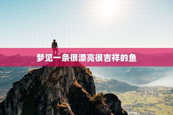 梦见一条很漂亮很吉祥的鱼