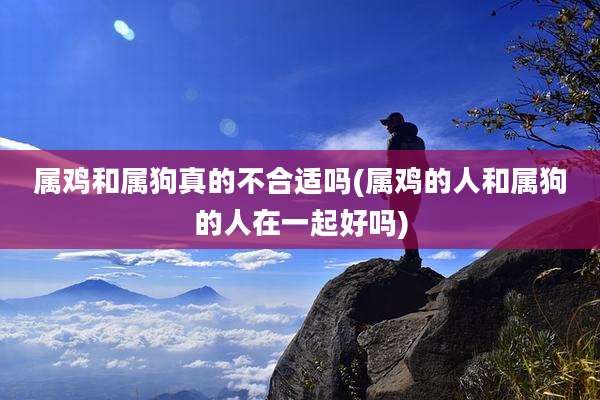 属鸡和属狗真的不合适吗(属鸡的人和属狗的人在一起好吗)