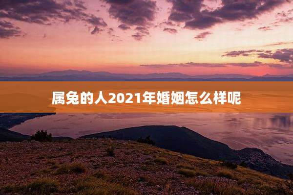 属兔的人2021年婚姻怎么样呢
