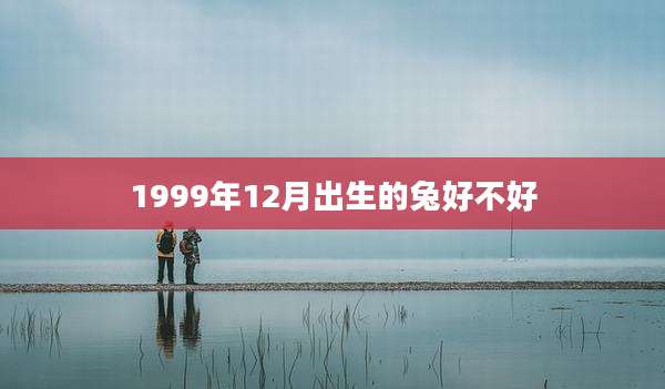 1999年12月出生的兔好不好