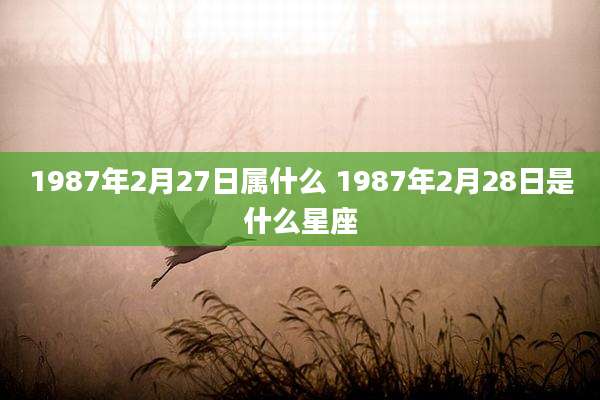 1987年2月27日属什么 1987年2月28日是什么星座