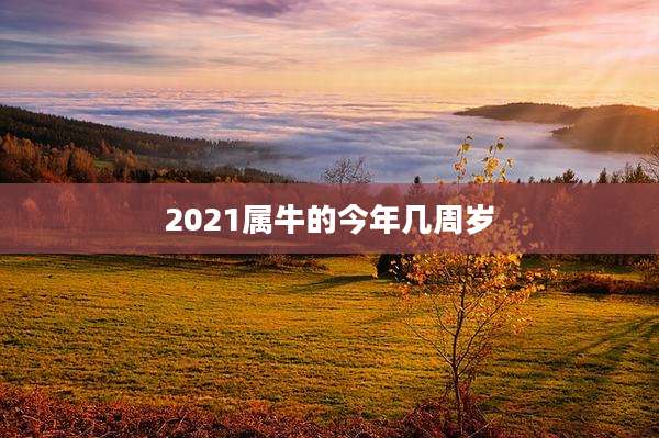 2021属牛的今年几周岁