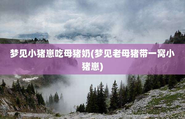 梦见小猪崽吃母猪奶(梦见老母猪带一窝小猪崽)
