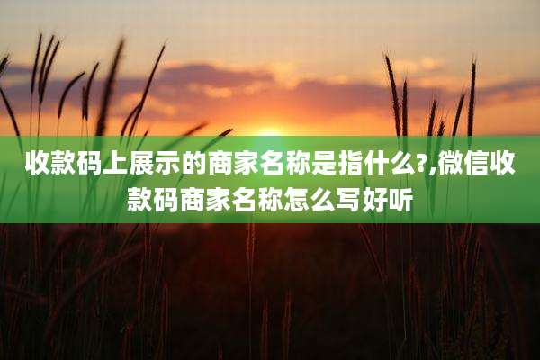 收款码上展示的商家名称是指什么?,微信收款码商家名称怎么写好听