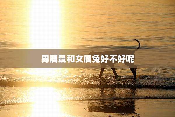 男属鼠和女属兔好不好呢