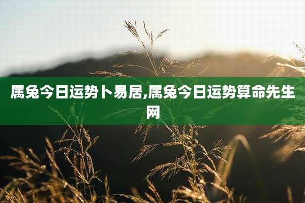 属兔今日运势卜易居,属兔今日运势算命先生网