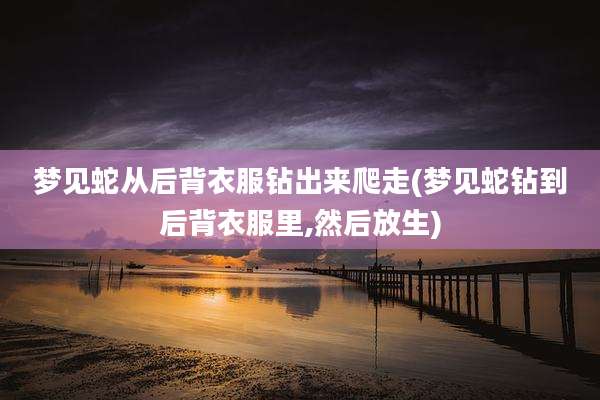 梦见蛇从后背衣服钻出来爬走(梦见蛇钻到后背衣服里,然后放生)