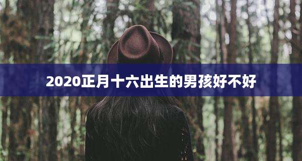 2020正月十六出生的男孩好不好