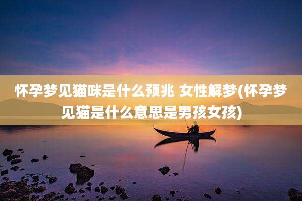 怀孕梦见猫咪是什么预兆 女性解梦(怀孕梦见猫是什么意思是男孩女孩)