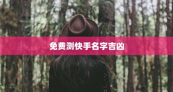免费测快手名字吉凶