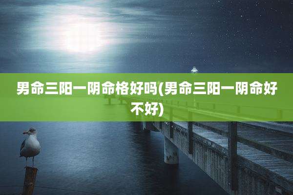 男命三阳一阴命格好吗(男命三阳一阴命好不好)