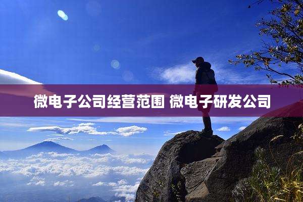 微电子公司经营范围 微电子研发公司