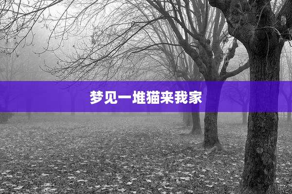 梦见一堆猫来我家