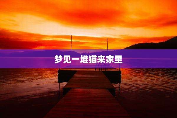 梦见一堆猫来家里