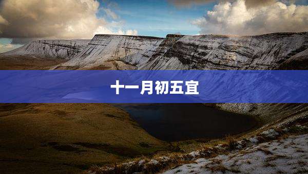 十一月初五宜