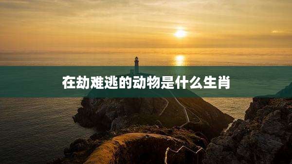 在劫难逃的动物是什么生肖