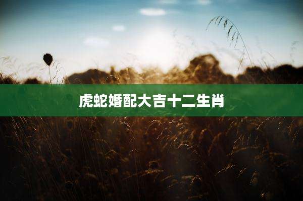 虎蛇婚配大吉十二生肖