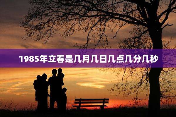 1985年立春是几月几日几点几分几秒